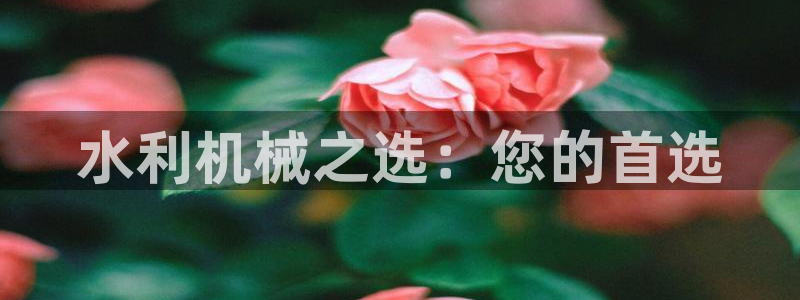 球盟会封禁