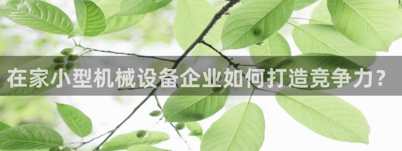 球盟会qmh