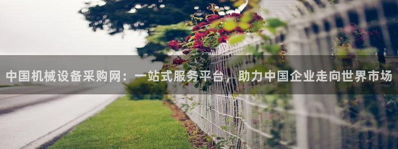 球盟会app最新地址在哪找