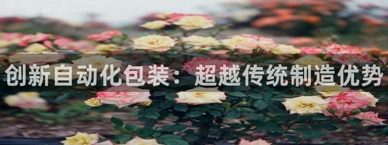 球盟会头号玩家