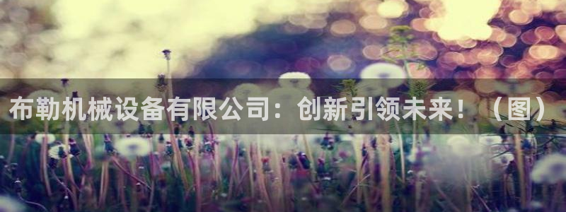 球盟会官方客服