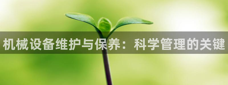 球盟会登陆入口