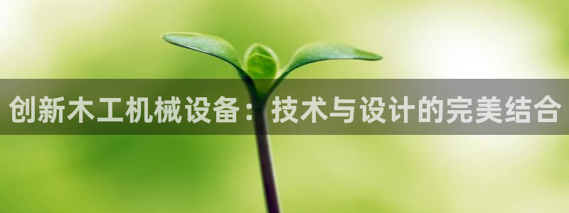 球盟会平台会黑单吗