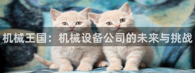 球盟会在线登入