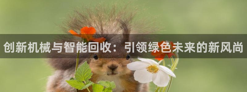 球盟会网址多少