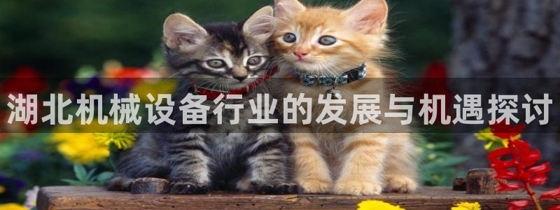 球盟会国际官网