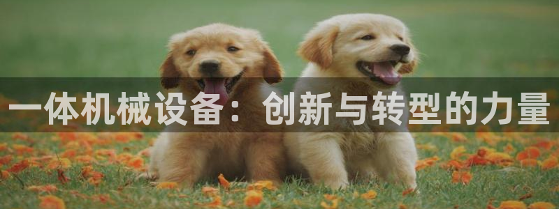 球盟会体育app官方网站