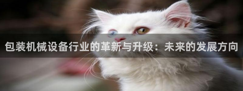 球盟会里面有打牌的嘛是真的吗