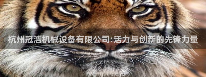球盟会电子好下吗
