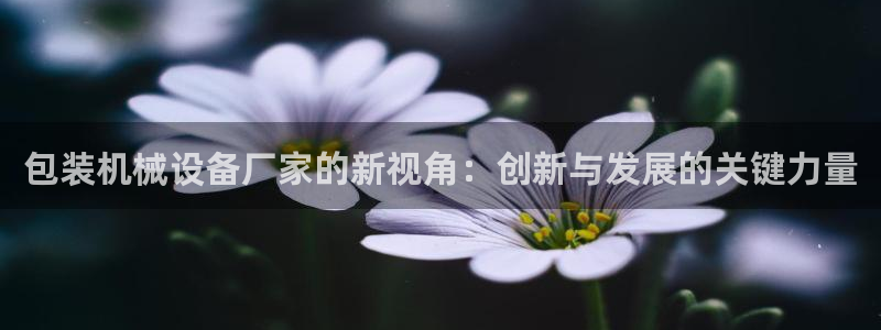 球盟会登录入口