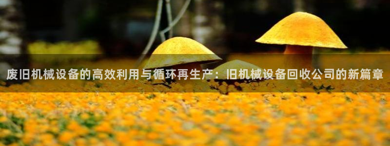 球盟会邮箱