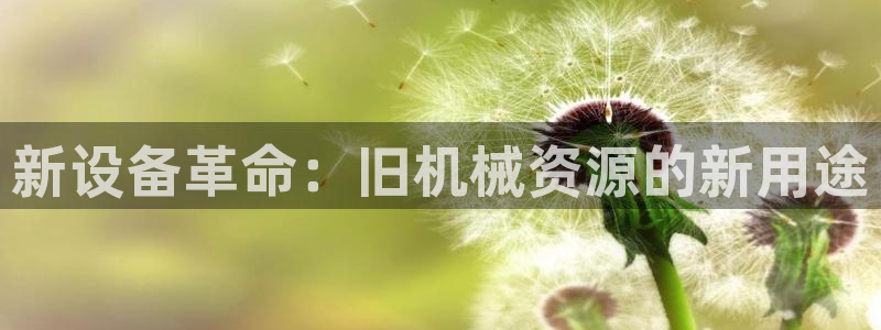 球盟会官网入口