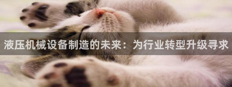球盟会中国网页登录