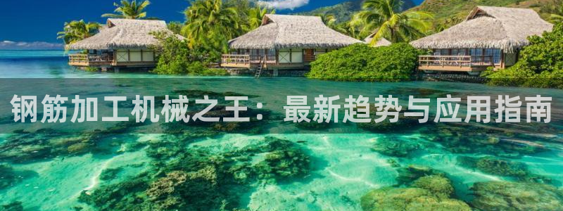球盟会APP最新地址