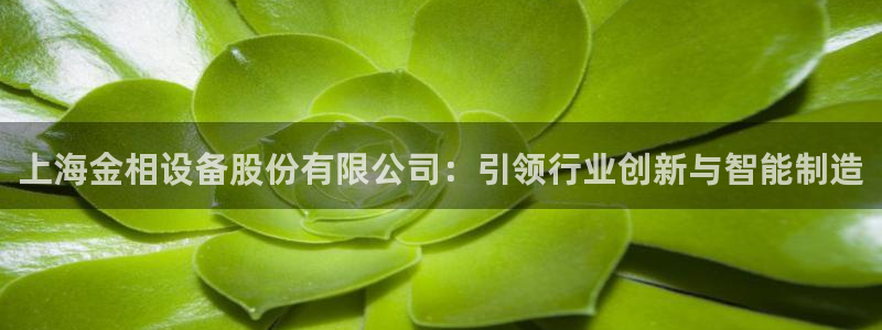 球盟会电子好下吗