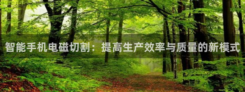 球盟会里面有打牌的嘛