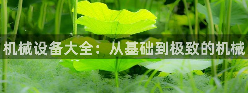 球盟会网页登录入口