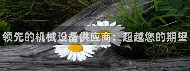 球盟会黑