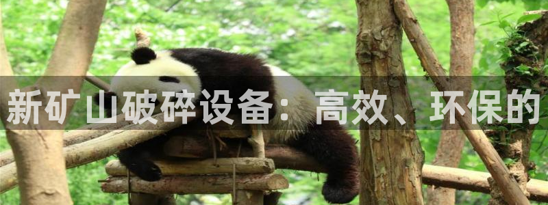 球盟会在线网站