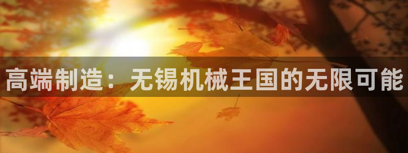 球盟会黑