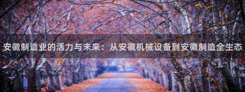 球盟会黑
