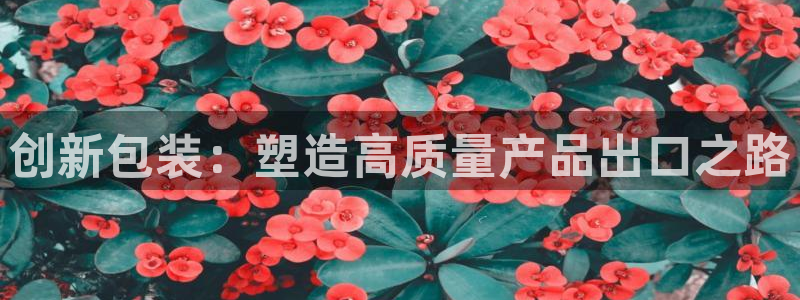 球盟会下款快吗