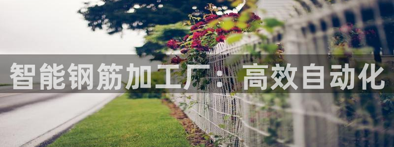 球盟会qm8597
