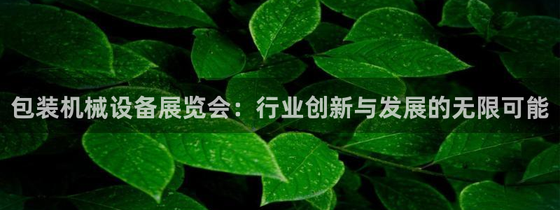 球盟会官方版下载地址