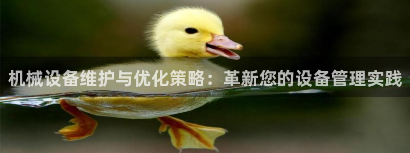 球盟会黑款吗
