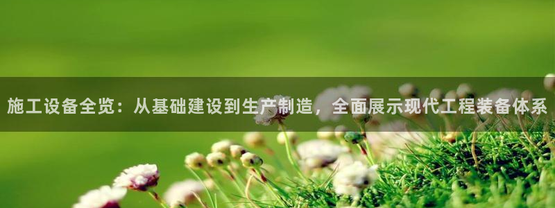 球盟会几点玩合适