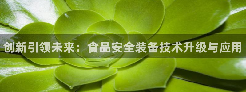 球盟会登陆入口