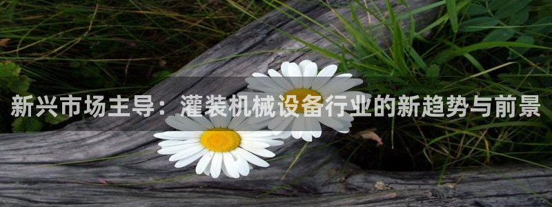 球盟会官方版下载地址