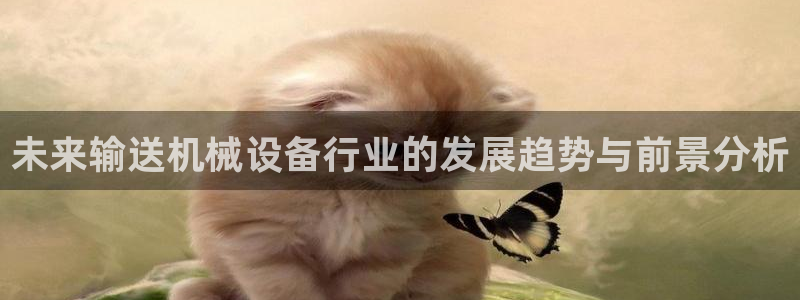 球盟会入口