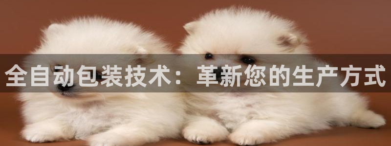 球盟会app手机登录