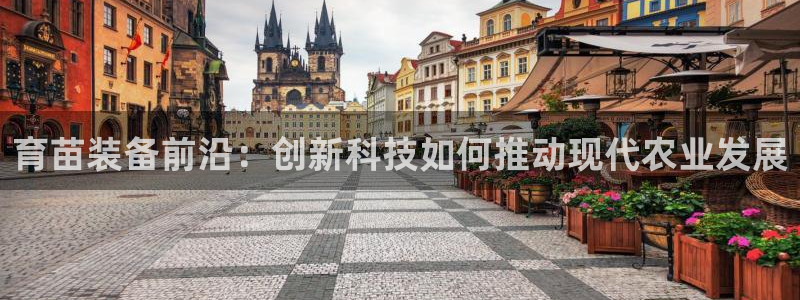 球盟会在线登录官网