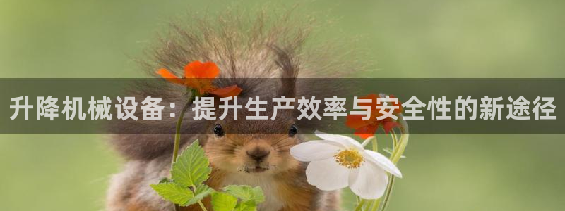 球盟会头号玩家