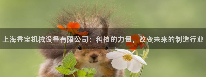 千亿球盟会乐玩