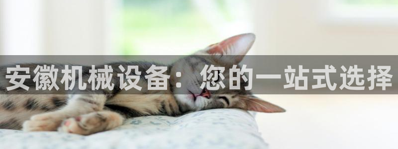 球盟会app手机登录