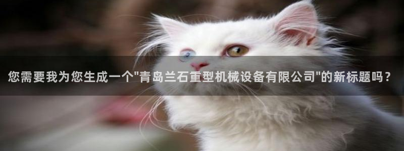 球盟会里面有打牌的嘛知乎