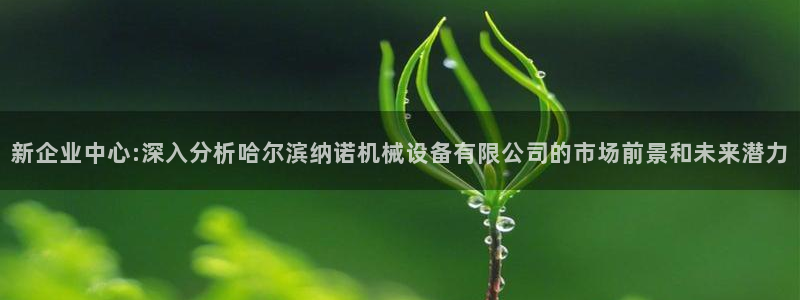 球盟会app网址多少号