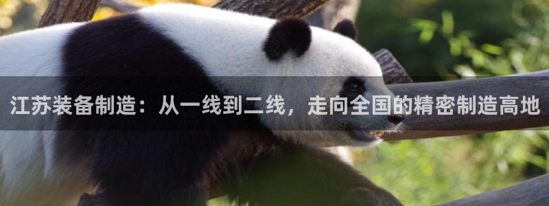 球盟会下载最新版