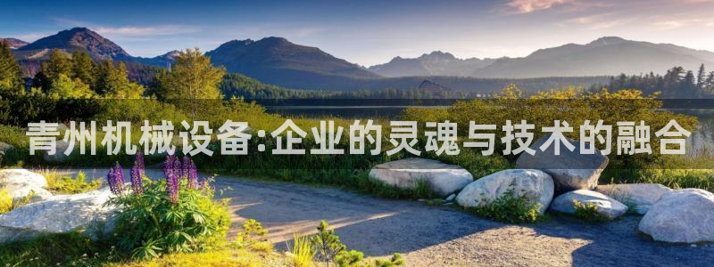 球盟会可以提现么现在