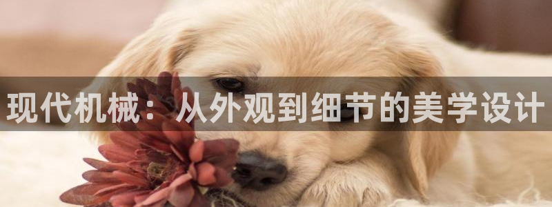 球盟会优惠领取网站是真的吗