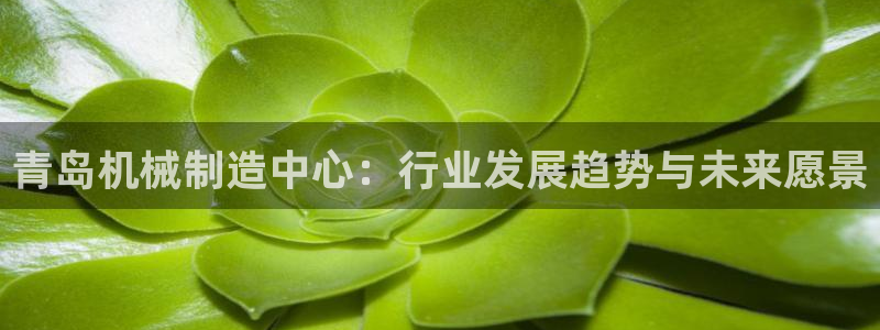 球盟会app最新地址下载