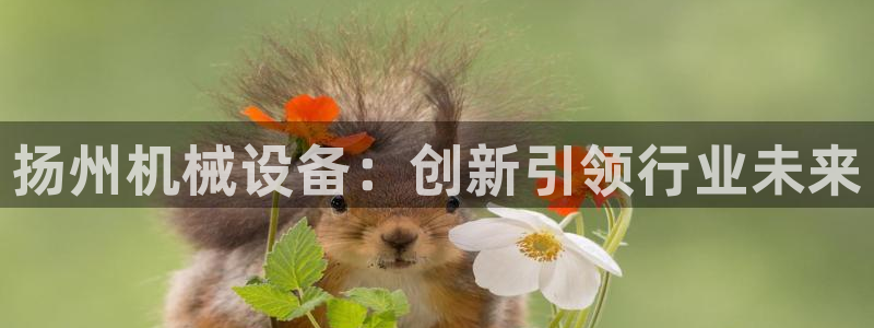 球盟会在线网站