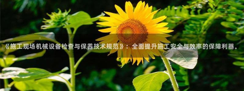 球盟会登录平台