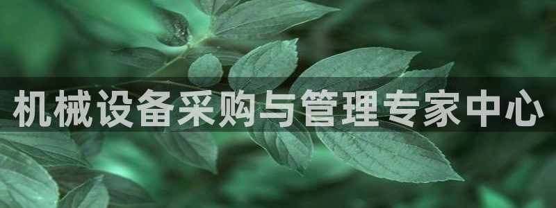 球盟会官方下载