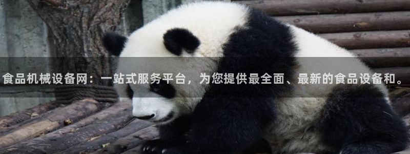 球盟会官网入口