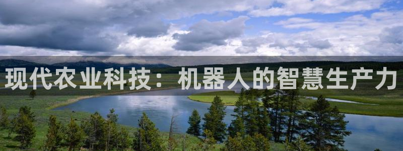 球盟会黑款吗还是白款