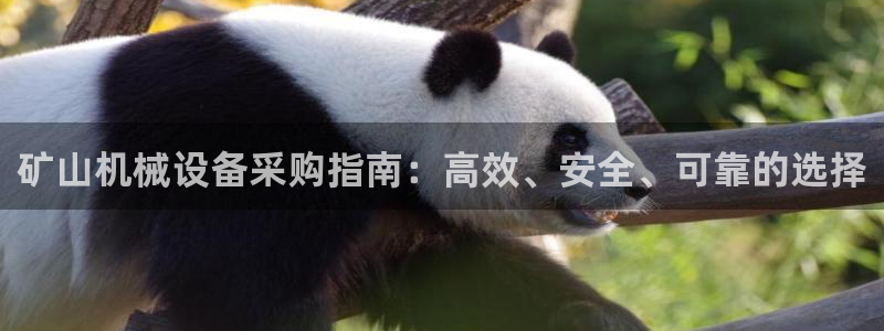 球盟会app最新地址在哪